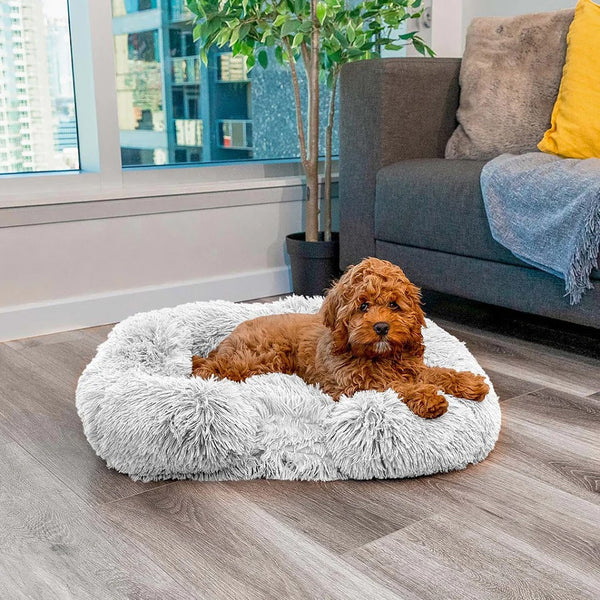 Calming Dog Bed with Memory Foam - Ultra-Soft, Supportive & Relieves Stress for Better Sleep