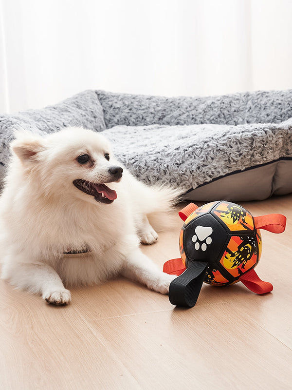 PawSoccer - Interactive Soccer Ball for Dogs