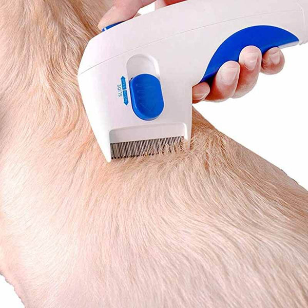 FleaZap – Electric Flea Remover for Pets – For Quick & Effective Flea Control