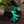 Claw Guard Gardening Gloves