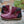 Mireille - Waterproof Boots for Women