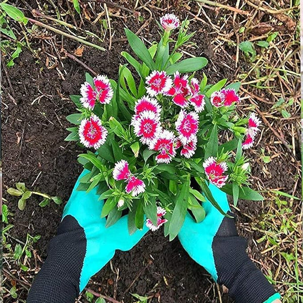 Claw Guard Gardening Gloves