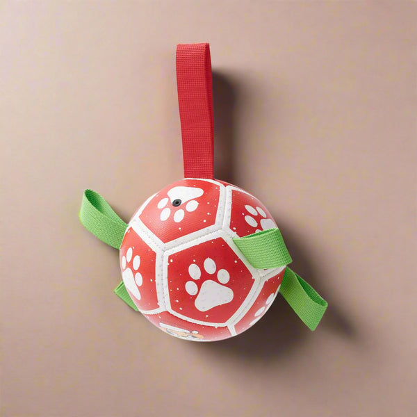 PawSoccer - Interactive Soccer Ball for Dogs