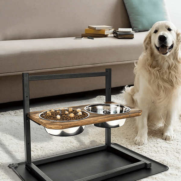 Elevated Dog Feeding Station – Comfortable and Convenient Meal Setup for Your Pet