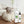 SereniPaws - Calming Cat Spray - Relaxing Formula for Stress-Free Pets