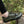 Greyson - Outdoor Hiking Men's Shoes