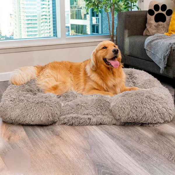 Calming Dog Bed with Memory Foam - Ultra-Soft, Supportive & Relieves Stress for Better Sleep