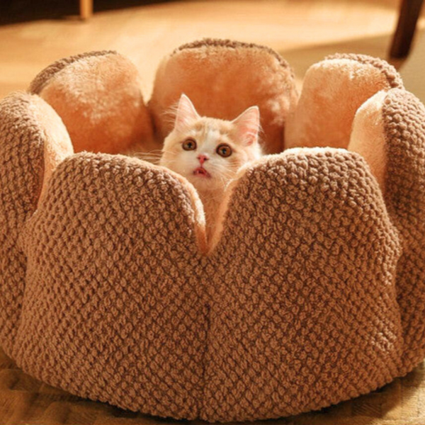 Daisy - Flower-Shaped Pet Bed – Soft, Cozy & Perfect for Pet Naps