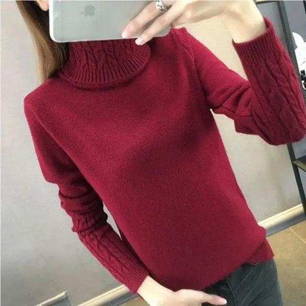 Kelsy - Warm Turtleneck Sweater