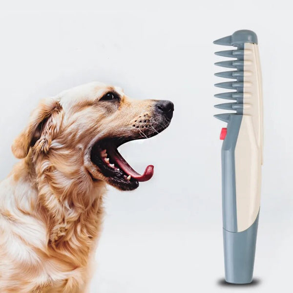 PawTrim – Electric Trimmers for Dogs & Cats – For Safe & Effortless Grooming