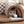 Lily - 2-in-1 Cat Tunnel Bed – Comfortable Hideaway & Play Space