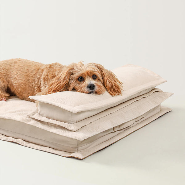 Calming Dog Bed - Soft, Supportive & Ideal for Restful Sleep