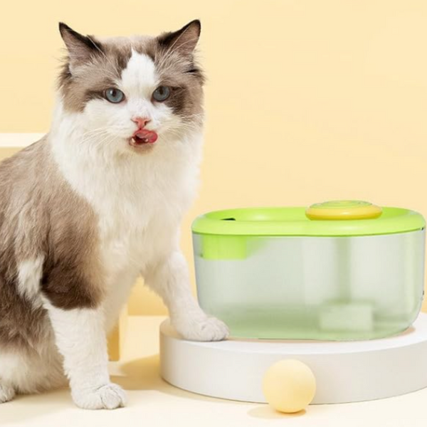 Pet Water Bowl with Pump – Continuous Fresh Water Flow for Your Pet's Hydration