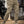 Dante - Premium Men's Cargo Pants